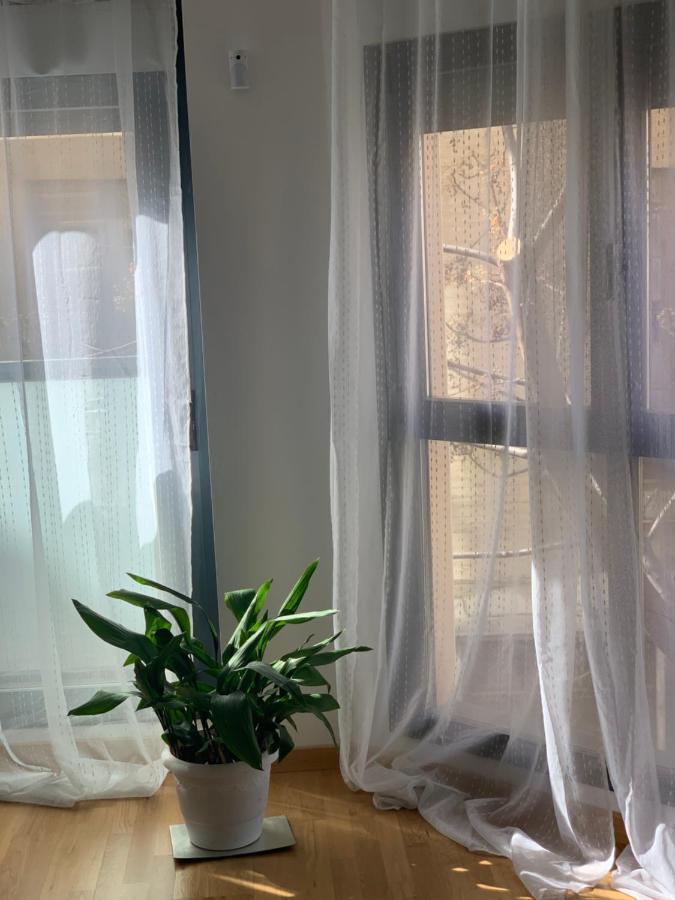 New, Cozy Apartment Plaza Del Pilar-Fuenclara サラゴサ エクステリア 写真